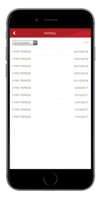 Paystubs-210x420 Phone